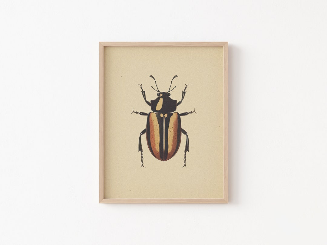 Vintage Bug Insect, Antique Beetle PRINTABLE Wall Art Print ...