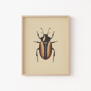Vintage Bug Insect, Antique Beetle PRINTABLE Wall Art Print | Minimalist Insect Poster | Boho Neutral Home Decor Instant DIGITAL DOWNLOAD