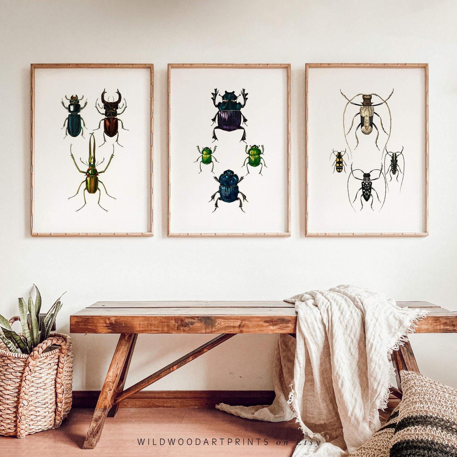 Vintage Insect Art Print, Set of 3 PRINTABLE Wall Art, Art Nouveau ...