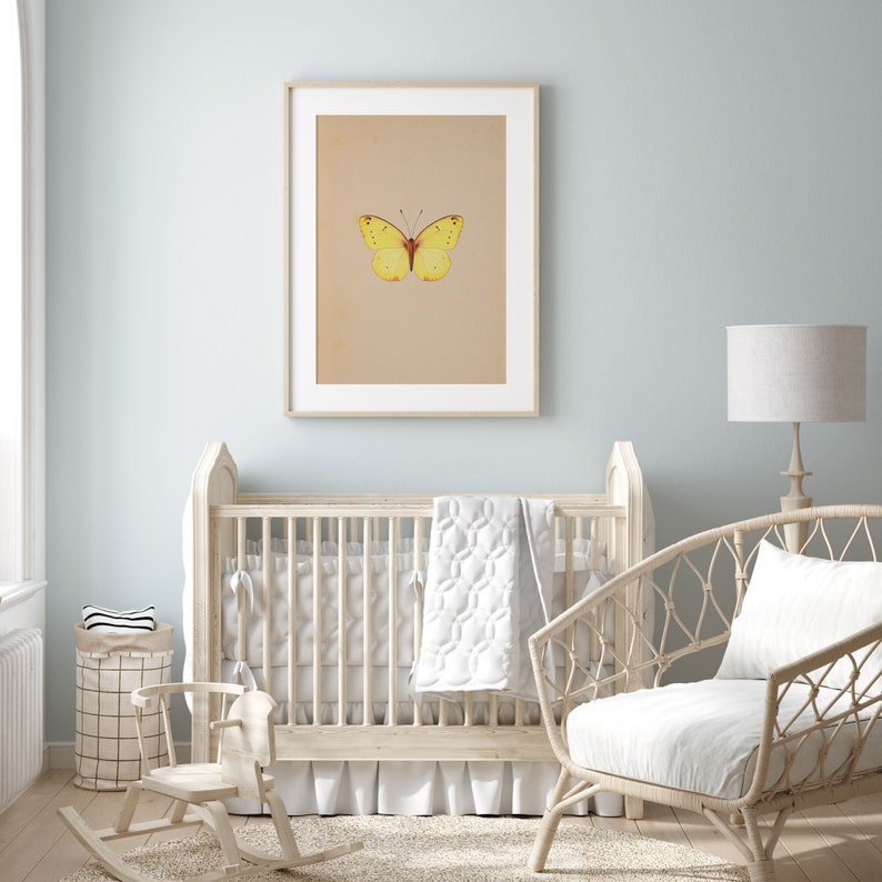 Antique Butterfly Art Print PRINTABLE Wall Art Colourful Vintage Insect antique-butterfly-art-print-printable-wall-art-colourful-vintage-insect
