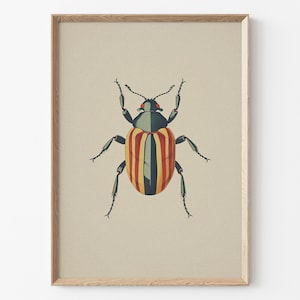 Vintage Bug Insect, Antique Beetle PRINTABLE Wall Art Print | Minimalist Insect Poster | Boho Neutral Home Decor Instant DIGITAL DOWNLOAD