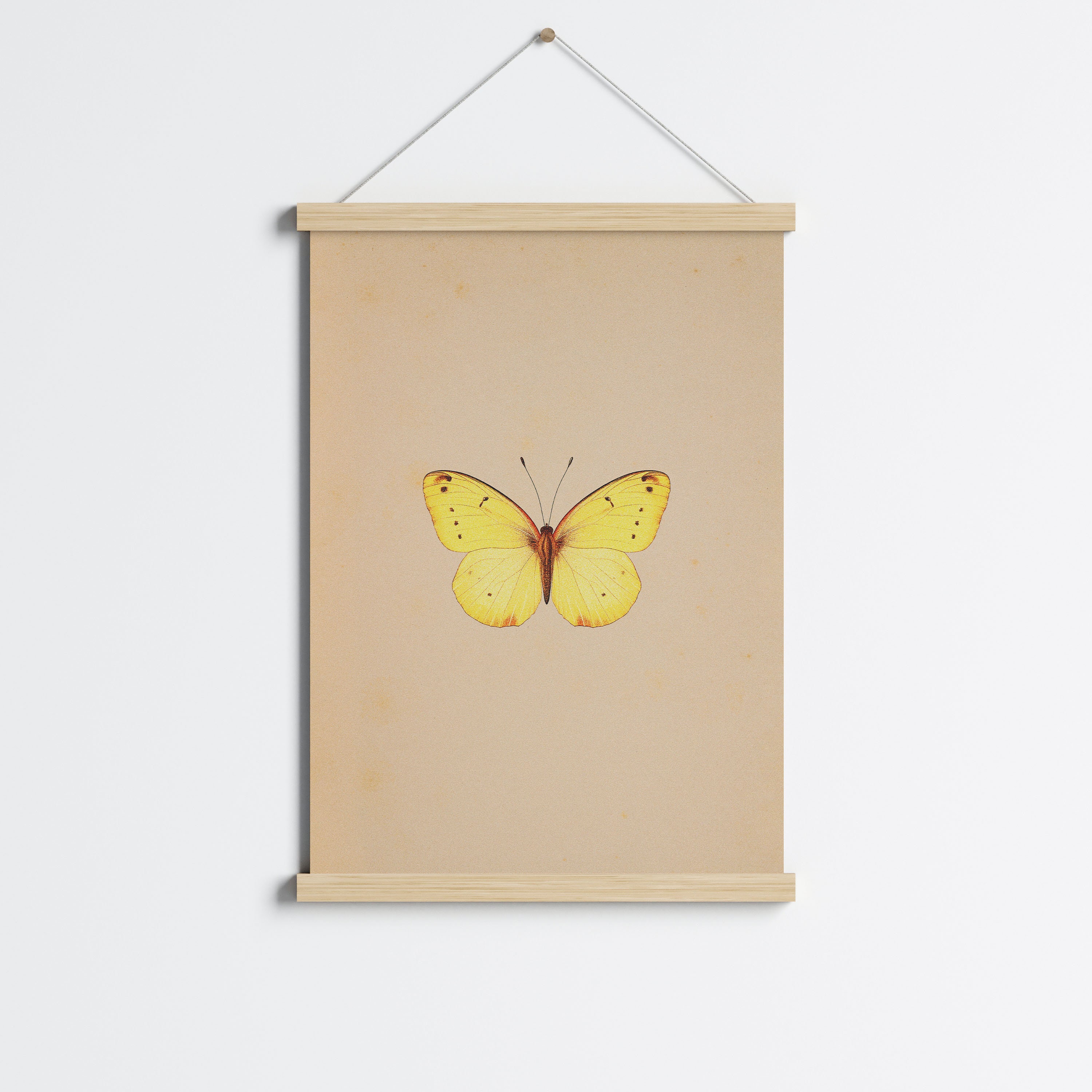 Antique Butterfly Art Print PRINTABLE Wall Art Colourful Vintage Insect antique-butterfly-art-print-printable-wall-art-colourful-vintage-insect