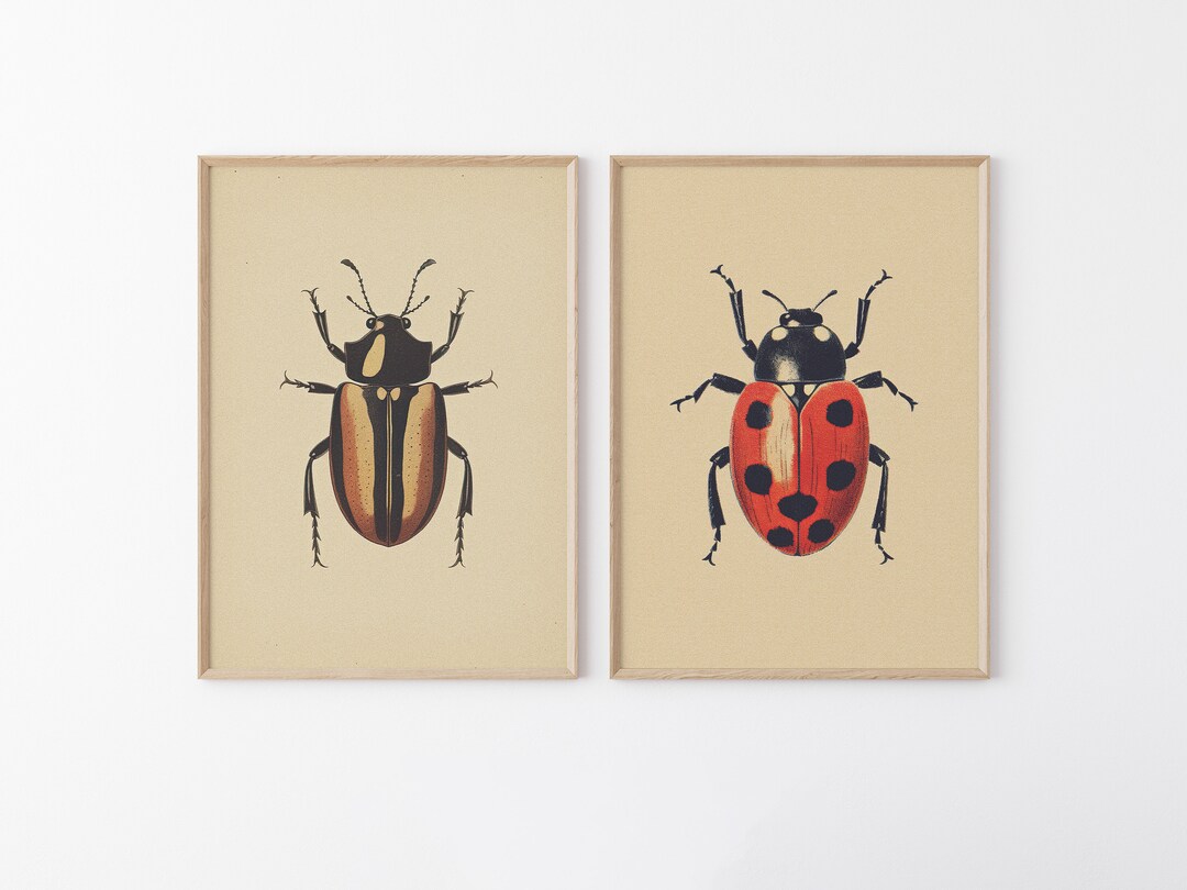 Antique Beetles, Vintage Bug PRINTABLE Wall Art Prints | Set of 2 ...
