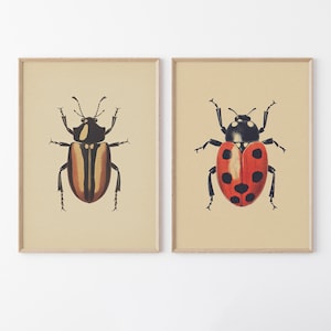 Antique Beetles, Vintage Bug PRINTABLE Wall Art Prints | Set of 2 Bundle Insect Poster | Boho Neutral Home Decor Instant DIGITAL DOWNLOAD