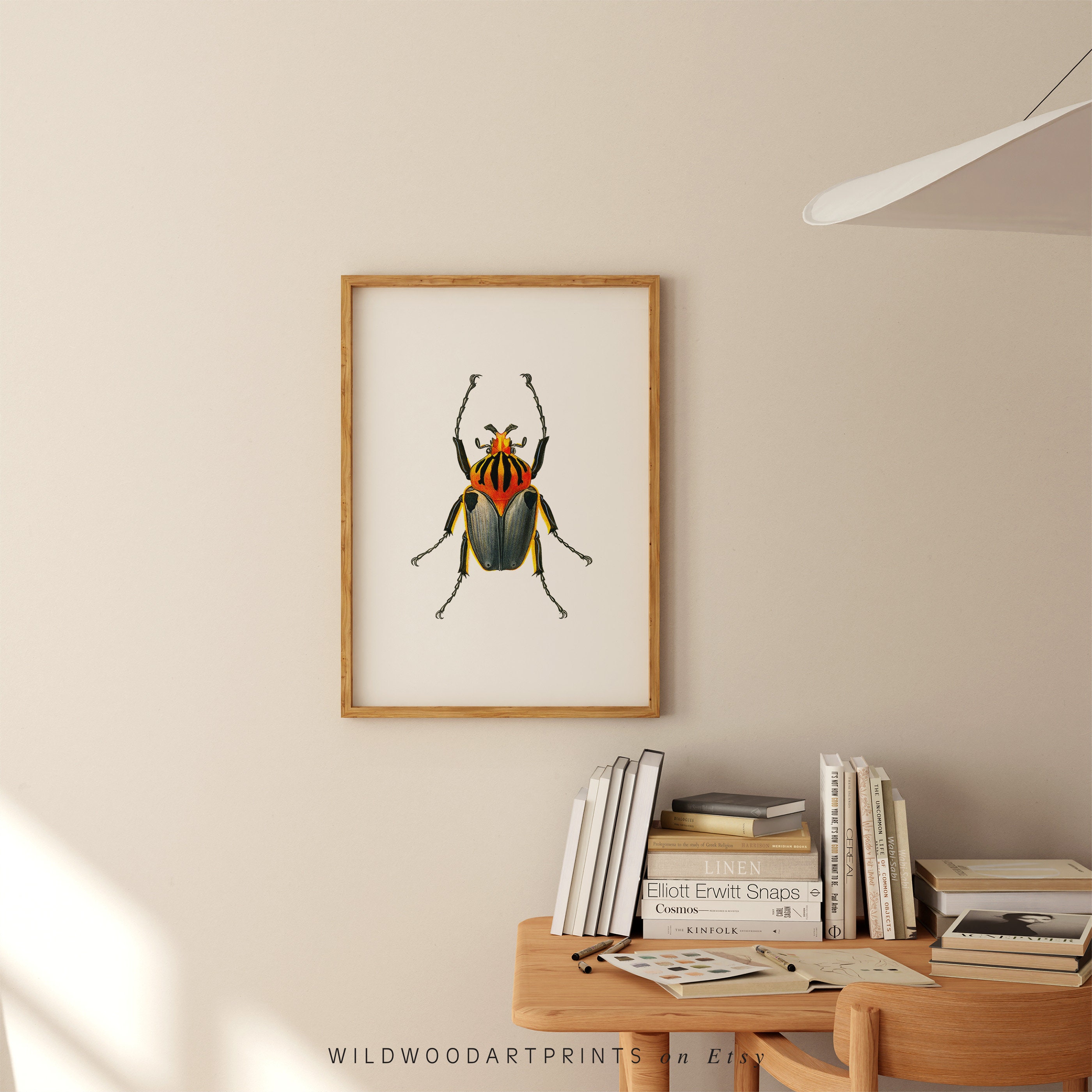 Goliath Beetle Art Print, Old Vintage Insect PRINTABLE Wall Art, Cute ...