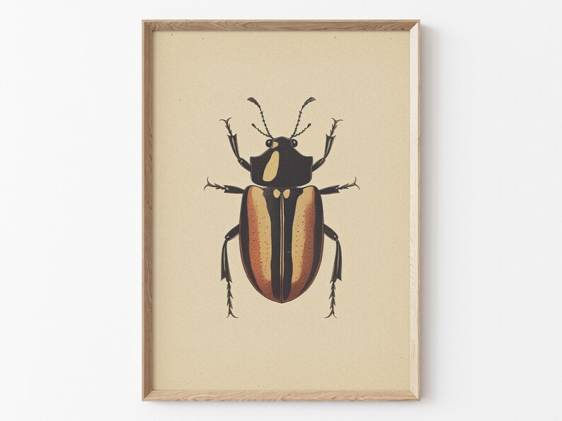 Antique Beetles Vintage Bug PRINTABLE Wall Art Prints Set - Etsy