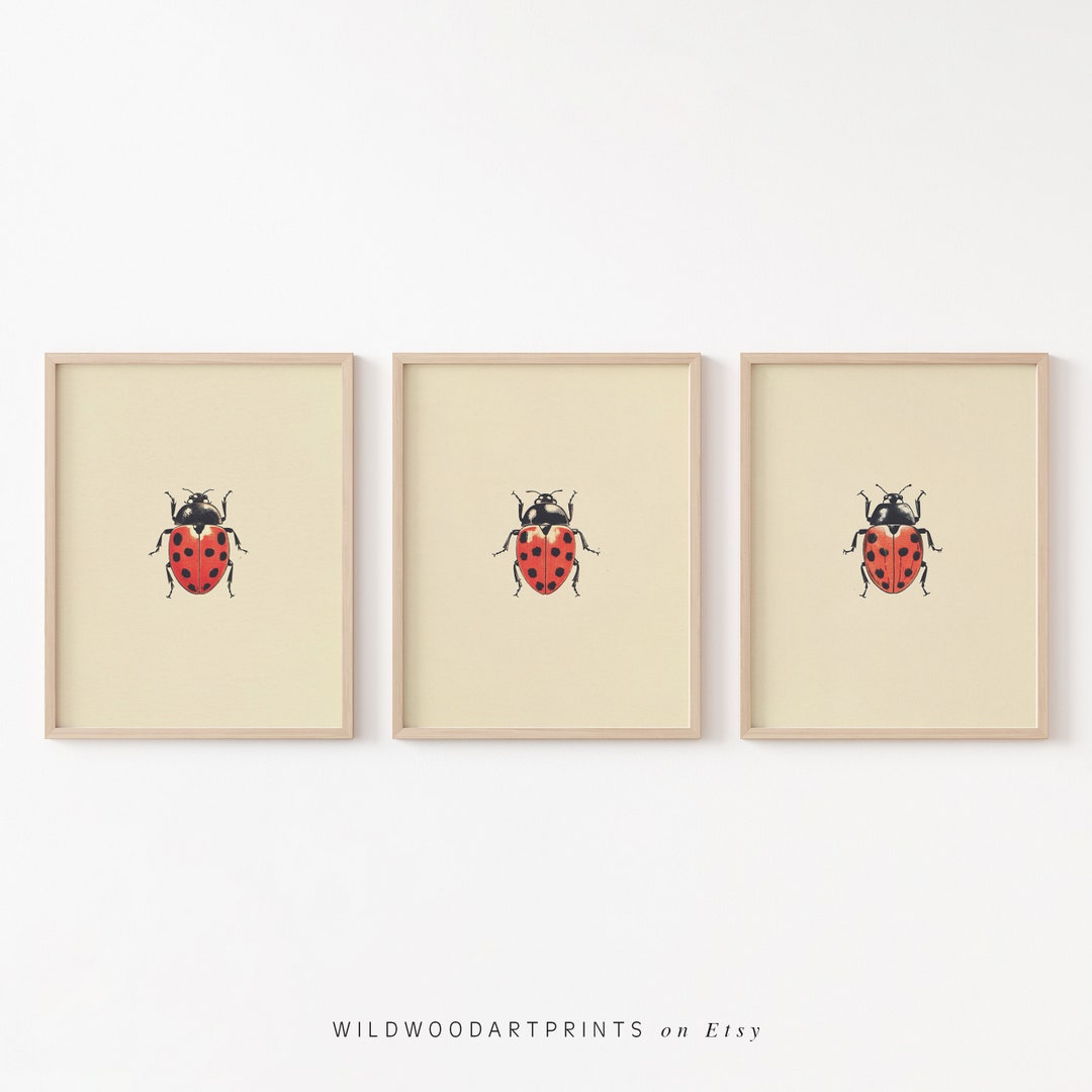 Vintage Ladybug Set of 3 PRINTABLE Wall Art Prints | Red Minimalist ...
