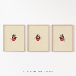 Vintage Ladybug Set of 3 PRINTABLE Wall Art Prints | Red Minimalist Insect Poster | Boho Neutral Home Nursery Decor Instant DIGITAL DOWNLOAD