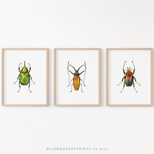 Vintage Beetle Art Print, Cute Bug Illustration, Set of 3 PRINTABLE Wall Art, Antique Insect Poster Home Decor, Instant DIGITAL DOWNLOAD
