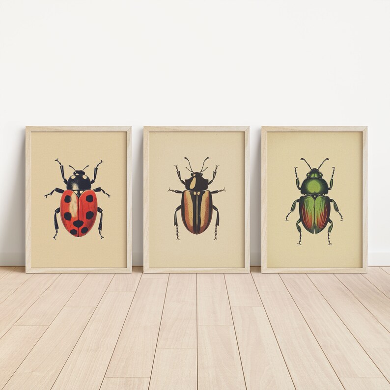 Antique Beetles, Vintage Bug PRINTABLE Wall Art Prints | Set of 3 ...