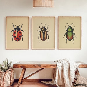 Antique Beetles Vintage Bug PRINTABLE Wall Art Prints Set - Etsy