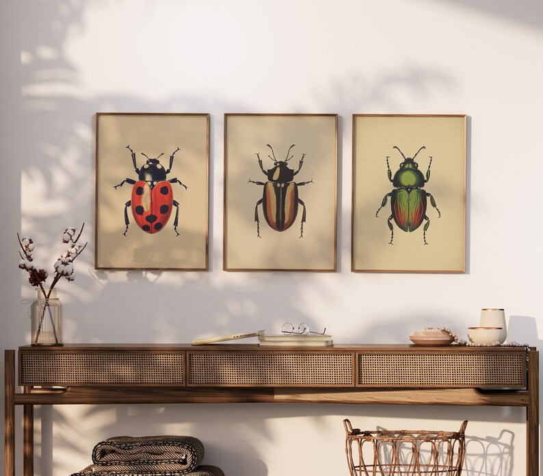Antique Beetles Vintage Bug PRINTABLE Wall Art Prints Set - Etsy