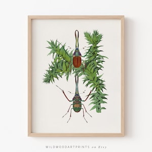 Retro Beetle Poster, Antique Insect PRINTABLE Wall Art, Art Nouveau Insect Illustration, Vintage Bug Art Print, Instant DIGITAL DOWNLOAD