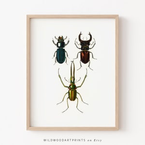 Vintage Insect Art Print, Scarab Beetle PRINTABLE Wall Art, Art Nouveau Bug Illustration, Minimalist Home Decor, Instant DIGITAL DOWNLOAD