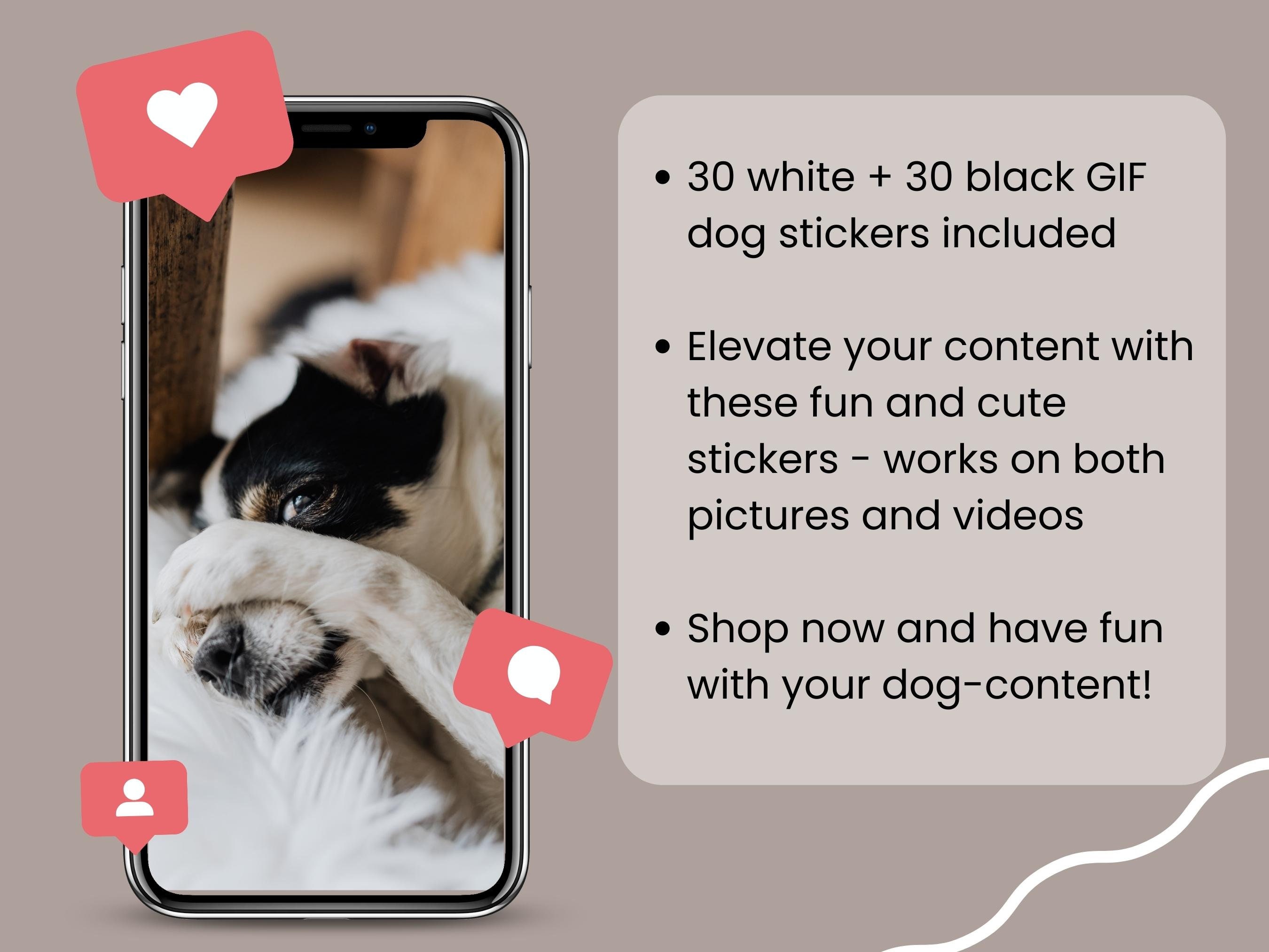 60 Instagram Story GIF Stickers Dog Words in Black (Download Now) 