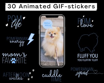 30 Instagram Story GIF stickers, Pomeranian dog phrases, Pomeranian stickers, Animated sticker for Instagram