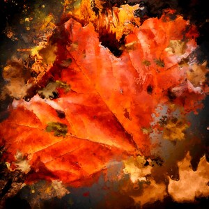 Autumn