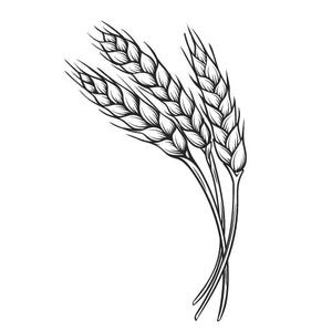 May include: A black and white line drawing of three wheat stalks.