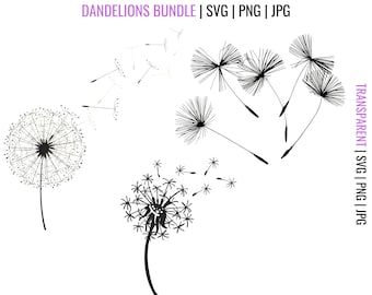 Paardebloem SVG-bundel: clipartbestanden voor de Cricut (digitale download)