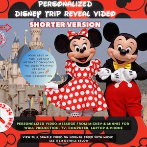 Disneyland Personalized Surprise Video Message, Custom Message from Mickey, Minnie, Magical Trip Reveal, Surprise Trip Video Reveal Version2