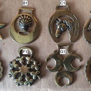 Horse Harness Brass 