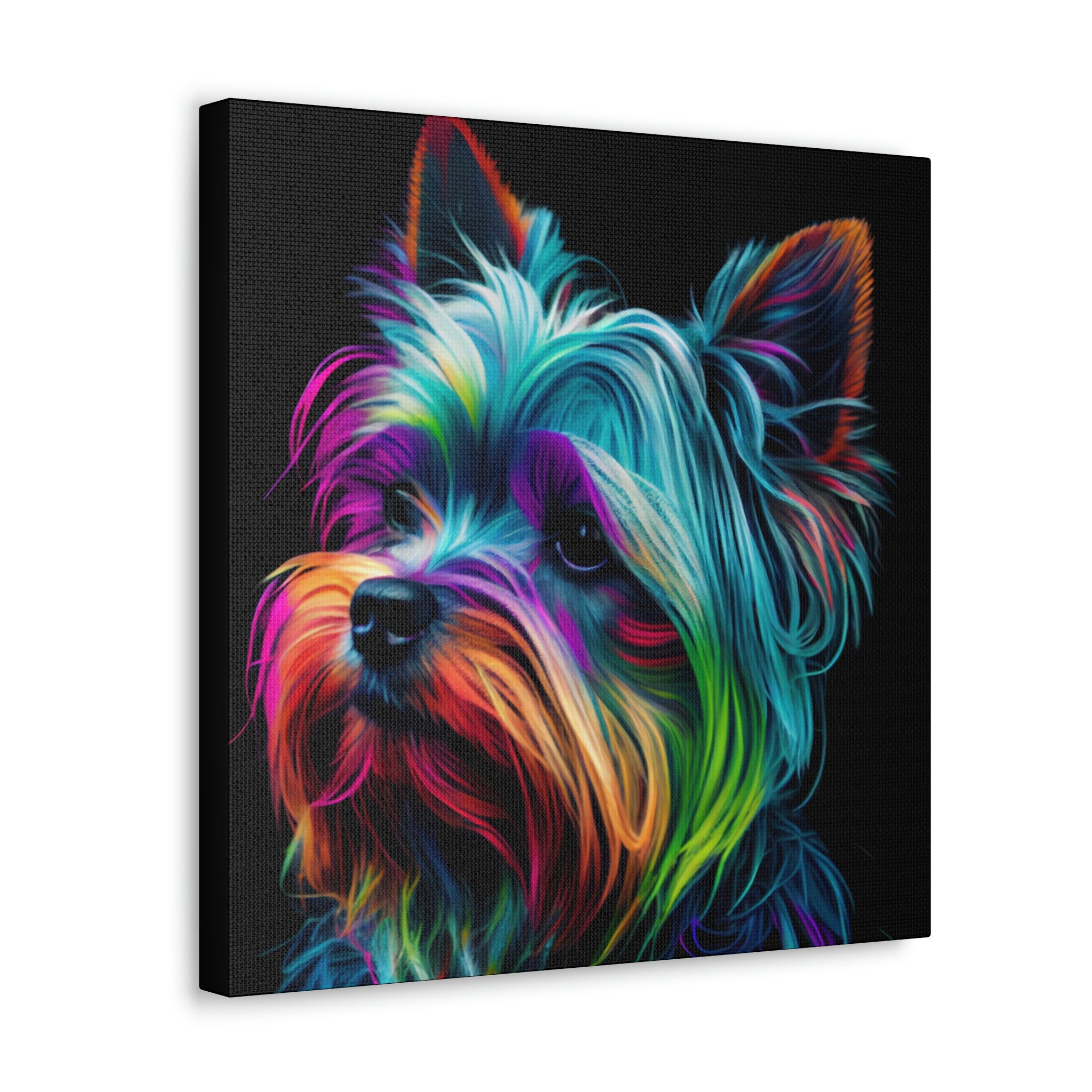 My pet cool art