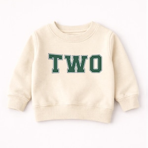 Kids Birthday Sweatshirt, Two Birthday Toddler Sweatshirt, 2nd Birthday Boy Jumper, 2nd Birthday Outfit, Two Sweatshirt, Birthday Gift USA