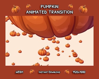 Pumpkin Animated Stream Transition | Spooky Stinger Transition | Instant Digital Download