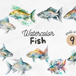 Aquarelle de poisson PNG | Clipart poisson | Animaux marins | Dessins de poisson | Conception par sublimation | Téléchargement de conception numérique