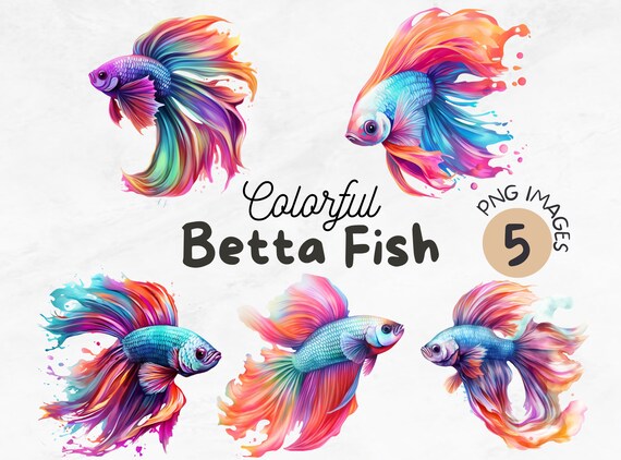 Colorful Betta Fish PNG Betta Fish Clipart Sea Animals Fish Designs  Sublimation Design Digital Design Download - Etsy