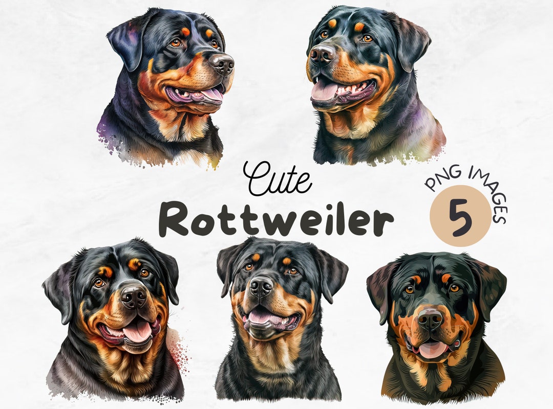 Rottweiler PNG | Rottweiler Clipart | Rottweiler Art | Dog Png | Puppy ...