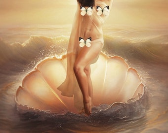 Sea Siren Shell - Digital Photography Backdrop