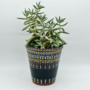 May include: A succulent plant in a black planter with a colorful dot pattern. The pattern includes yellow, orange, red, blue, and brown dots.