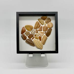 Wampum Shell Art: North Carolina Quahog Heart in Shadow Box