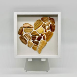 Wampum Shell Art: North Carolina Quahog Heart in Shadow Box