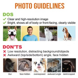 May include: A guide with dos and don'ts for taking photos of pets and people for online listings. The dos include taking clear, high-resolution images that are bright and show the subject's entire body or face. The don'ts include low-resolution images, distracting backgrounds, awkward angles, and blurry or dark images.