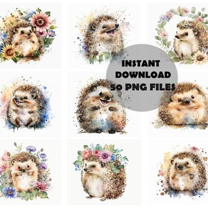 May include: A set of 50 watercolour illustrations of hedgehogs in various poses, surrounded by flowers and leaves. The illustrations are in a soft, pastel colour palette and have a whimsical, charming style.