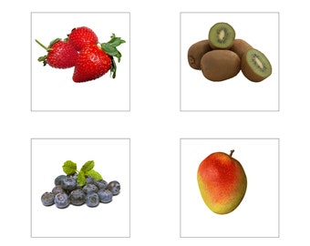 Obst Nomenklatur Karten / Montessori Karten / Printables