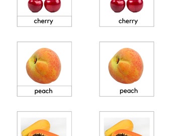Montessori 3 Teilige Karten/ Obstkarten/ Frühe Lektüre