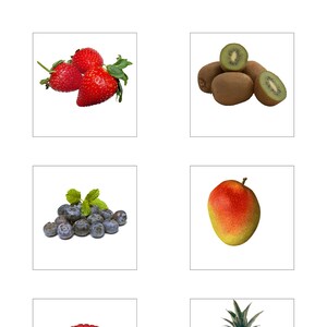 Cartes de nomenclature des fruits/Cartes classifiées Montessori/Imprimables