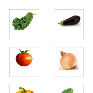 Vegetable Classified Cards/Montessori Nomenclature/Printable