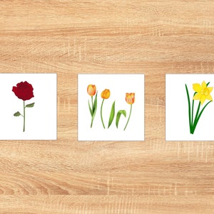 Montessori Nomenklatur Karten/ Blumen Klassifizierte Karten/Printable