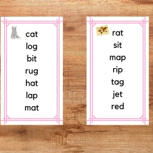 Montessori Phonetic Cards/3 Letter Phonetic Words/Printable