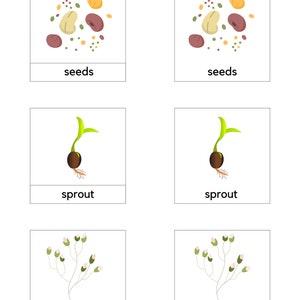 Tarjetas Montessori Primavera 3 Partes/Montessori Primavera Imprimible