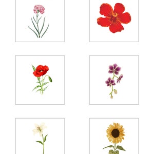 Zestaw Montessori Spring Flower Bundle/Kwiat 3 szt./Karty do nazewnictwa kwiatów/Gra w dopasowywanie kwiatów/Plakat z etykietą kwiatową