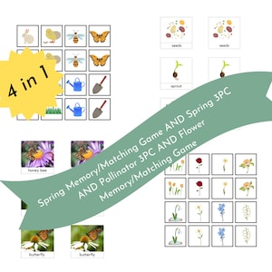 Montessori Spring Bundle/Flowers/Pollinators