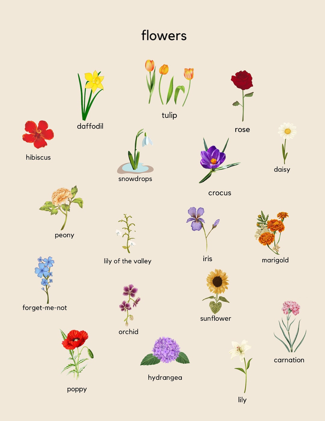 Flower Art/printable Classroom Poster/montessori Wall Art - Etsy