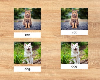 Phonetische Tier 3 Teil Karten / Montessori Sprache / druckbares Lesematerial