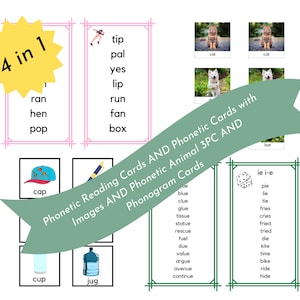 Montessori Language Bundle/Phonetic and Phonogram Cards/4for1