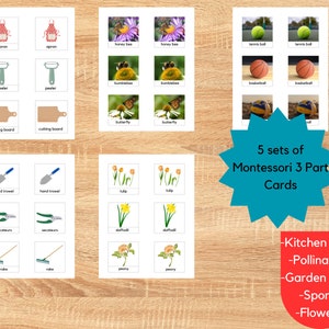 Zestaw kart Montessori 3 części/Prezent dla nauczyciela/Język Montessori/5 zestawów